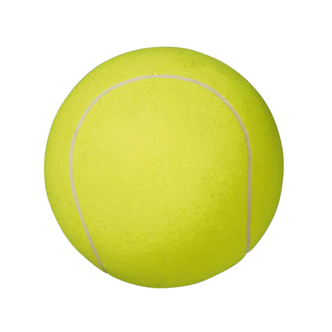 Delray Beach Open Jumbo Tennis Ball